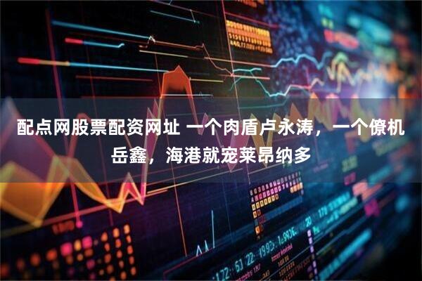 配点网股票配资网址 一个肉盾卢永涛，一个僚机岳鑫，海港就宠莱昂纳多