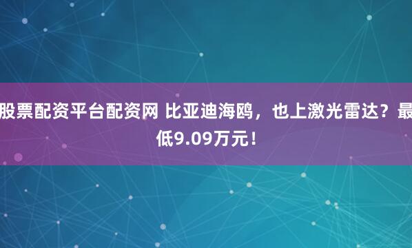 股票配资平台配资网 比亚迪海鸥，也上激光雷达？最低9.09万元！